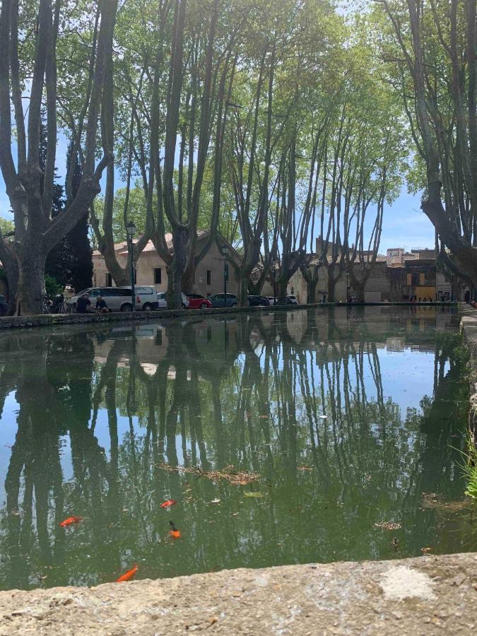屈屈龙Le Cabanon De Livia Avec Piscine Privee别墅 外观 照片